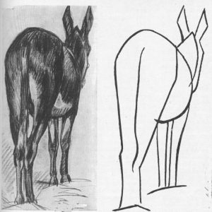 hoe teken je een paard